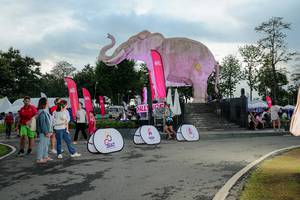 BIB: 
                            <button type="button" onclick="openModal(26529341)" class="btn btn-primary btn-sm float-right btn-popup" data-toggle="modal" data-target=".modal-high-quality">
                        <i class="fas fa-shopping-cart"></i> Add to Cart
                    </button>
                                            <button type="button" onclick="isThisMe(26529341, true)" class="btn btn-success btn-sm float-right btn-popup btn-isme hidden" data-toggle="tooltip" data-placement="bottom" title="นี่คือรูปของคุณใช่ไหม คลิกที่นี่เพื่อเอาเข้าอัลบั้ม">
                        <i class="fas fa-plus"></i> Add to album
                    </button>
                    <button type="button" onclick="isThisMe(26529341, false)" class="btn btn-warning btn-sm float-right btn-popup btn-isnotme hidden">
                        <i class="fas fa-ban"></i> Remove from album
                    </button>